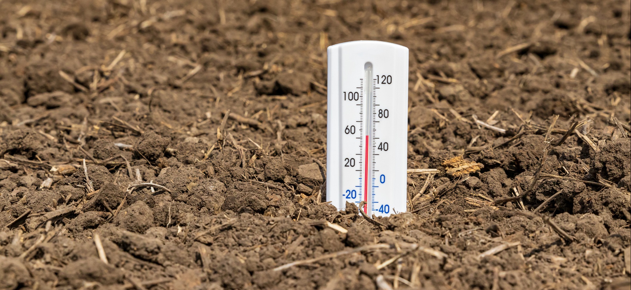 Soil temperature