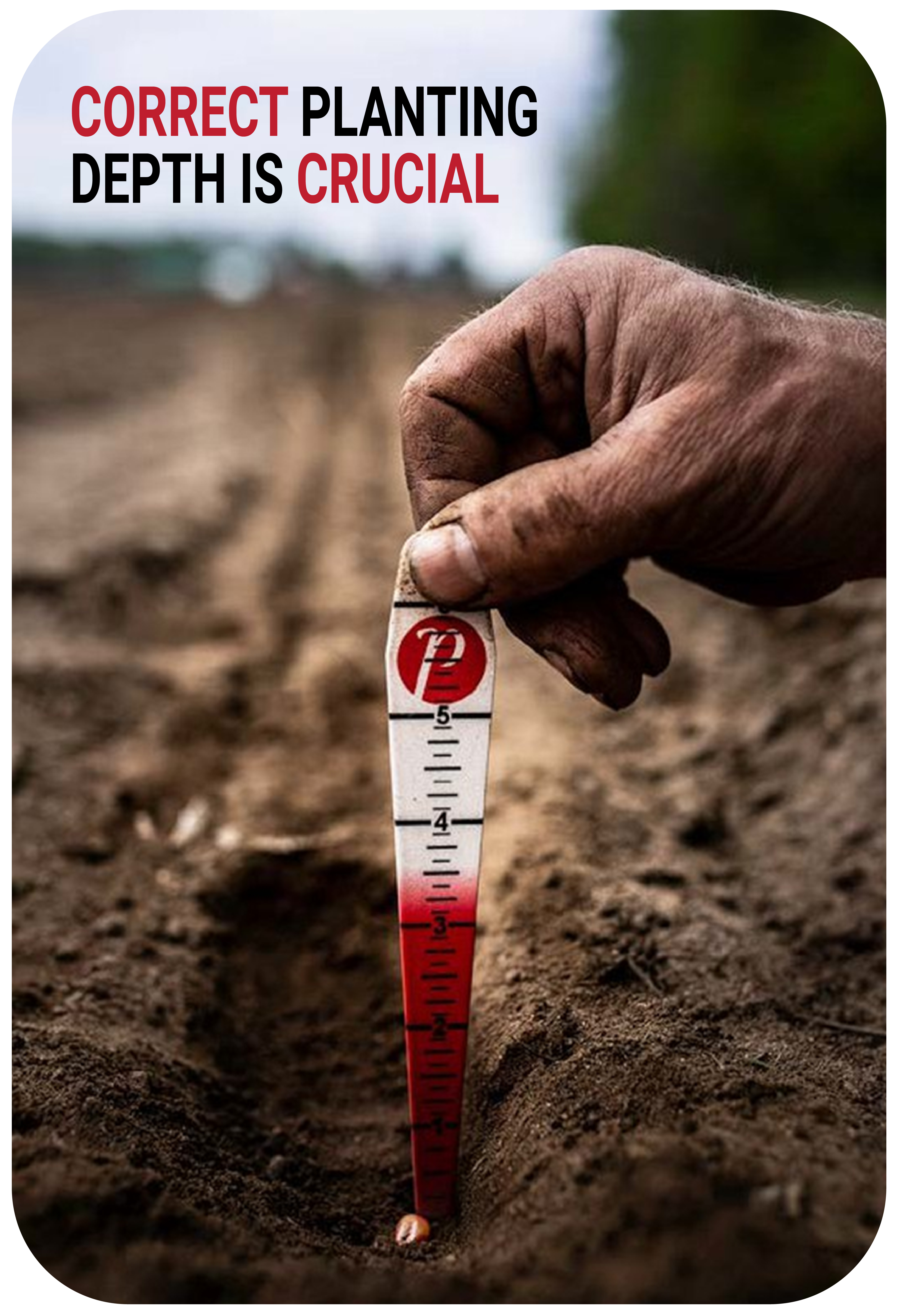 Seed depth finder image-01