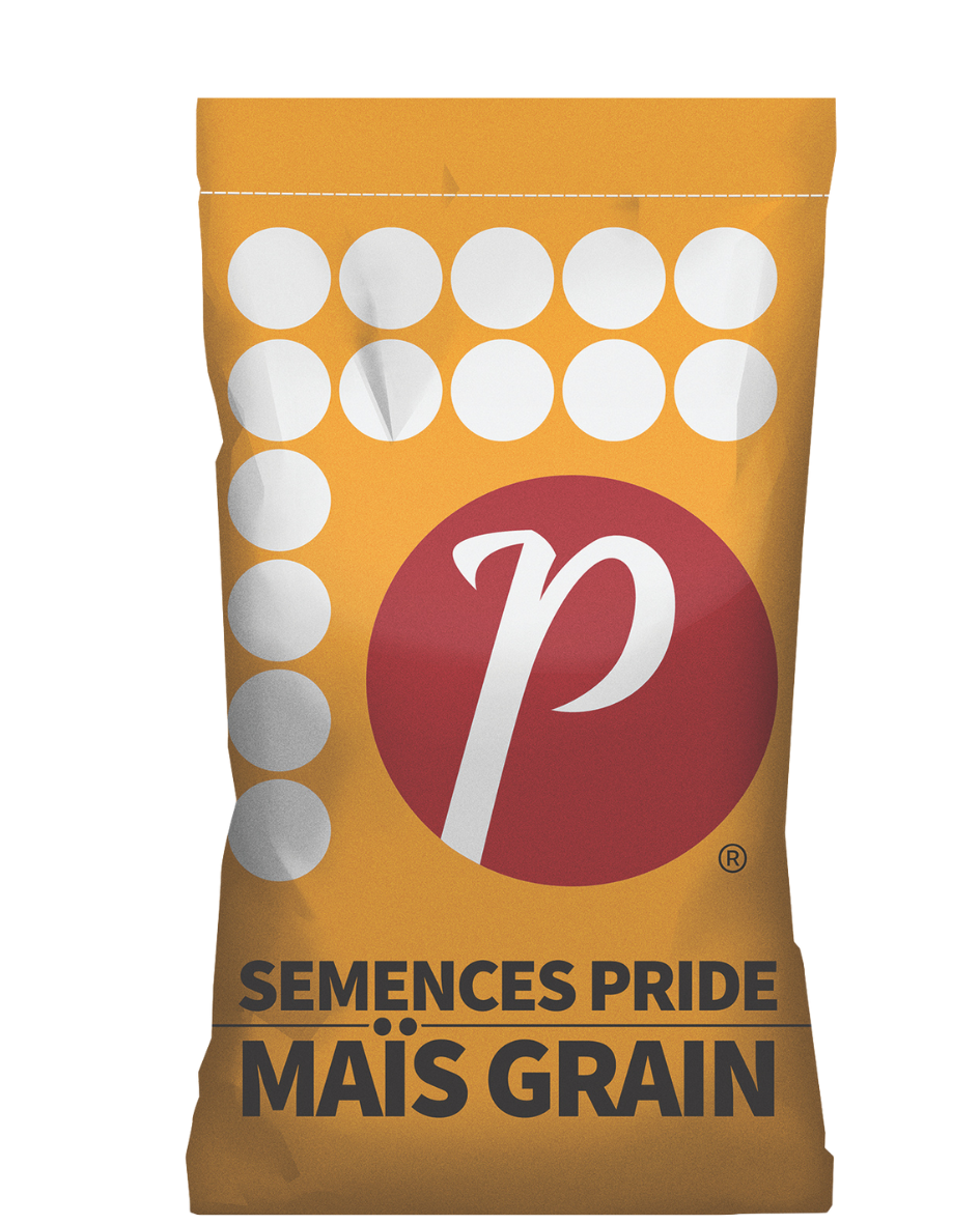 GRAIN CORN-13