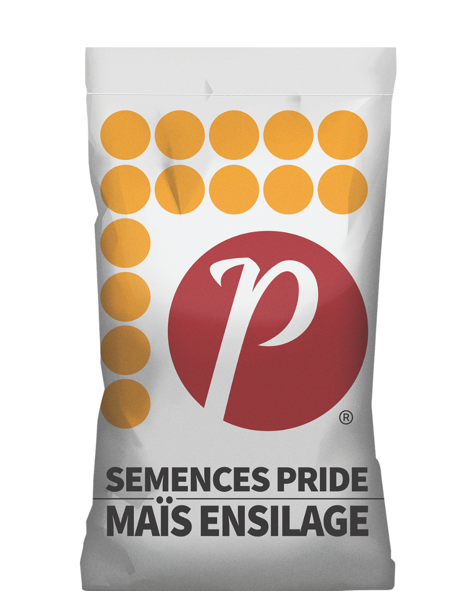 MAIS Ensilage