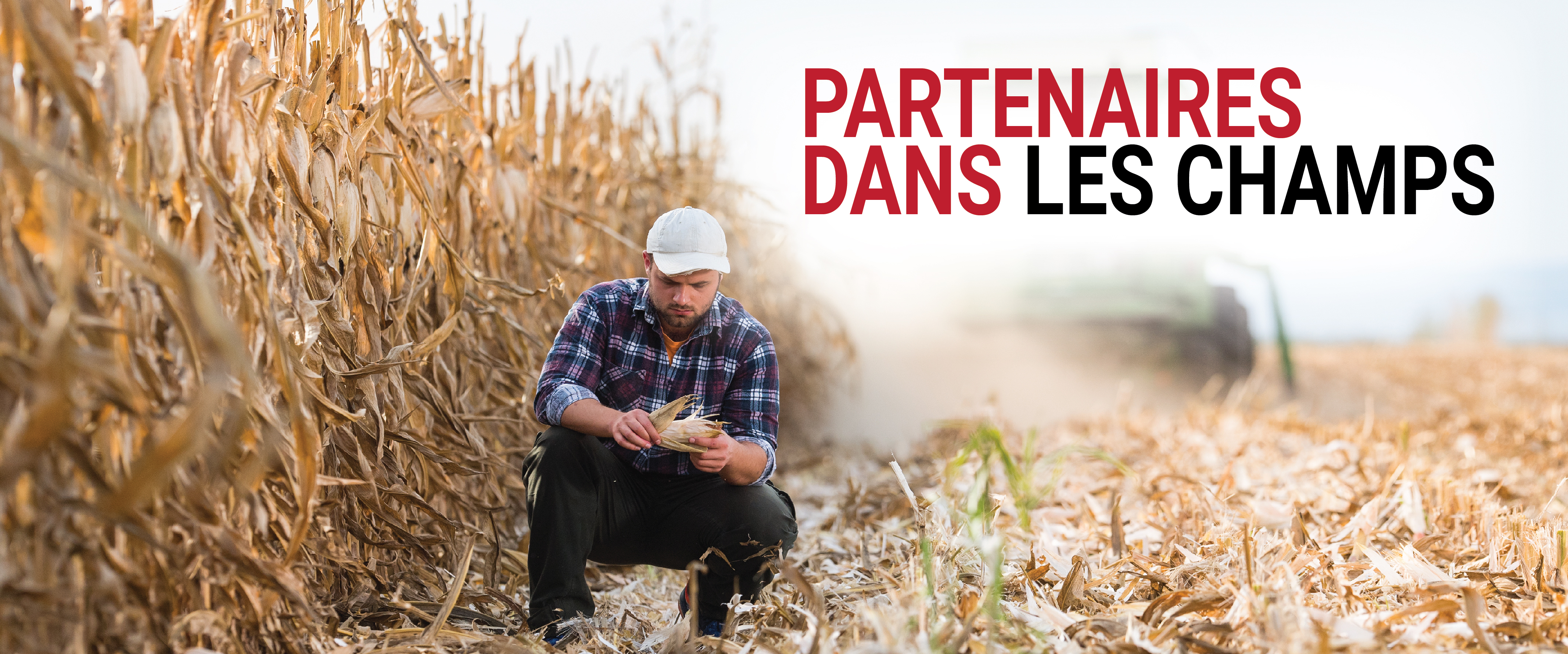 Website Graphics_Headers_EN_FR3